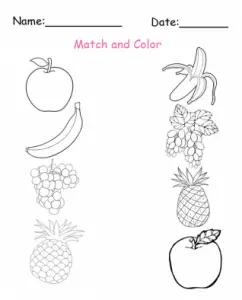 Printable Match and Color Fruit Worksheets