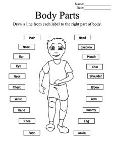 Kindergarten Shape Worksheets with Colors - Blog